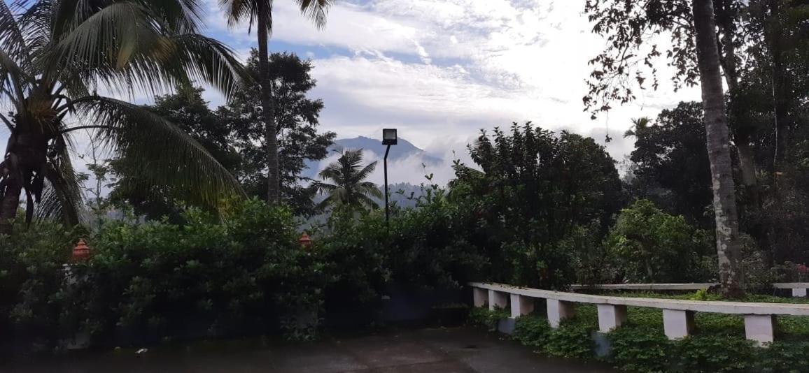Pepper Valley Resort Kalpetta Exteriör bild